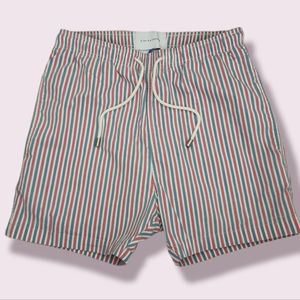 SOLID & STRIPED Men's Swim Shorts Trunks